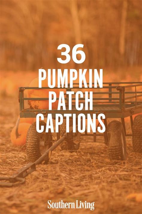 36 Pumpkin Patch Captions That Are Too Gourd Pumpkin Quotes Patch