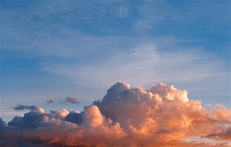 Photo Wallpaper Summer The Sky Clouds Sunset Sky Cumulus