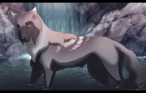 Shades Of Cool By Tazihound On Deviantart Anime Wolf Drawing Canine