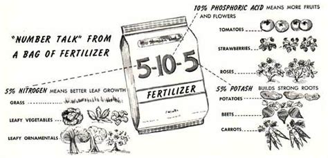 Reading Fertilizer Numbers Worksheet