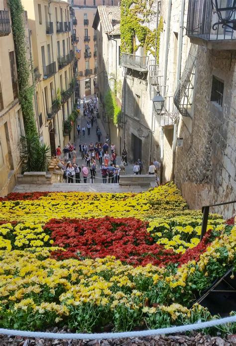Girona Temps De Flors 2023 Excursión De Un Día En Grupo
