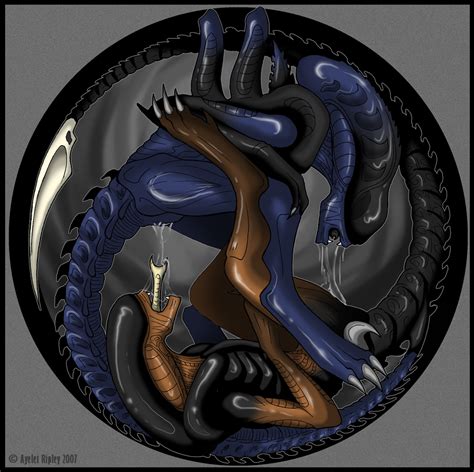 Rule 34 Alien Female Tagme Xenomorph 478038