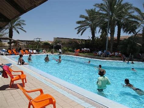 Kibbutz Ein Gedi Pool Pictures And Reviews Tripadvisor
