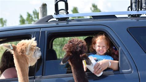 African Safari Wildlife Park VIP Tickets Contest | Oakland County Moms
