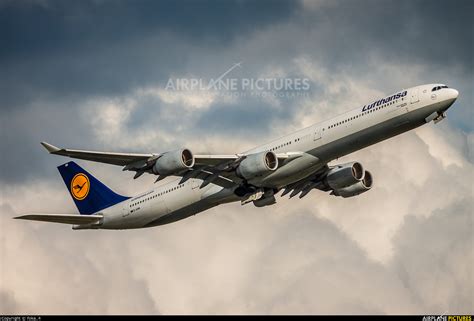 D Aihm Lufthansa Airbus A340 600 At Frankfurt Photo Id 561778