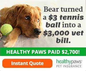 Healthy Paws Pet Insurance and Foundation. (With images ...