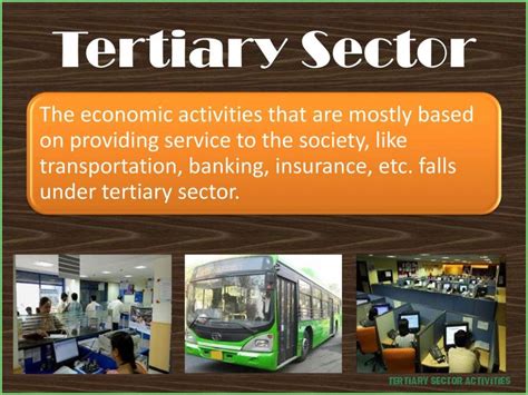 The tertiary sector is composed of the soft parts of the economy, that is, activities where people offer their knowledge. Tertiary Economic Activity Definition : Economic Sectors ...