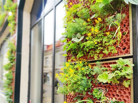 Gröna Fasader För Levande Städer Med Insekter Och Nyttodjur Butong