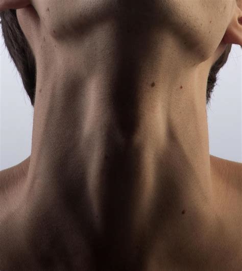 What Is The External Jugular Vein With Pictures