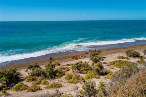 Beautiful Atlantic Ocean Coastline In Peninsula Valdes Patagonia With