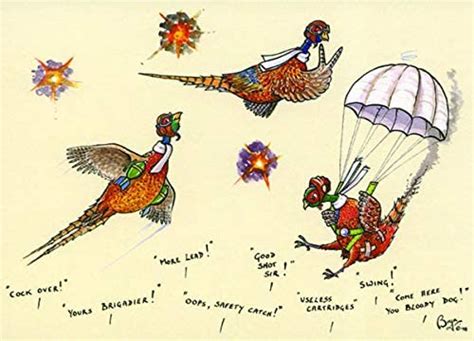 10 Notecards With Envelopesyours Brigadier Cartoon Pheasants By Bryn