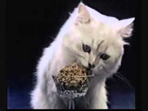 244 likes · 21 talking about this. Fancy Feast Cat Food Commercial- 1984 - YouTube