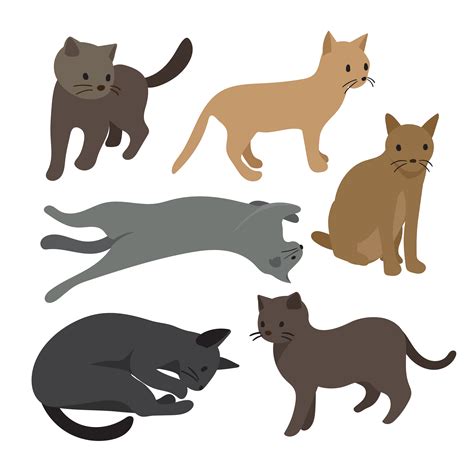 Cat Vector Collection Design 476194 Vector Art At Vecteezy