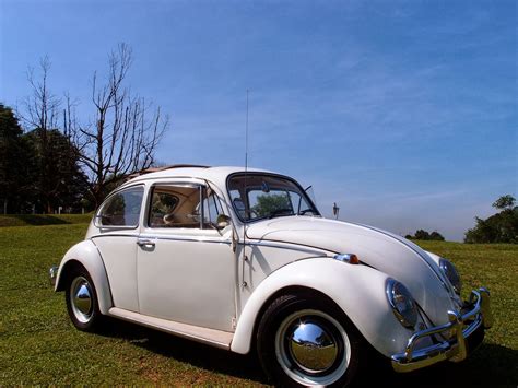 Volkswagen Vintage Beetle Whiteweddingcars
