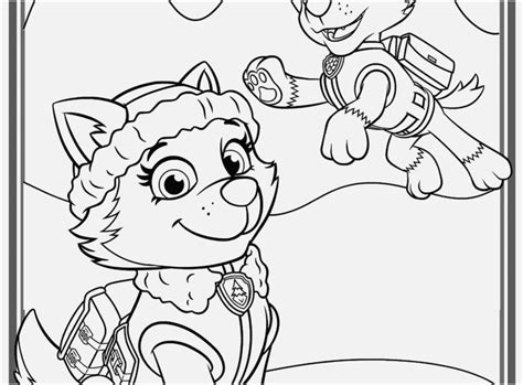 Two puppies from paw patrol series. Skye Paw Patrol Coloring Pages at GetDrawings | Free download