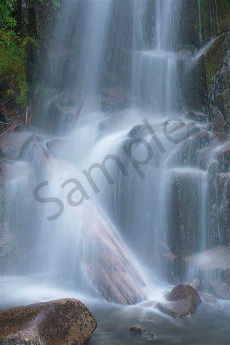 Stevens Creek Falls Mt Rainier National Park