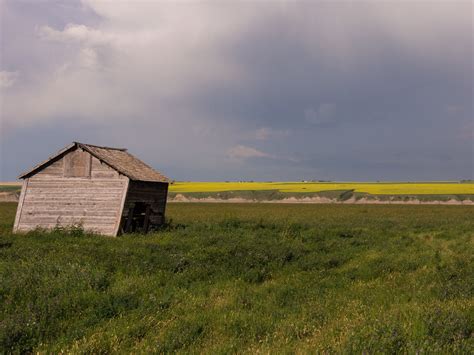 Shack With Canola Fields Steve Tannock Flickr