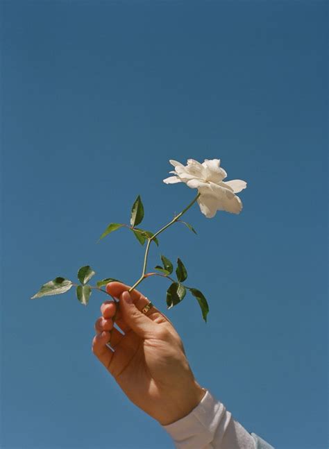 Wonderland Magazine June Anna Nevala By Daria Kobayashi Ritch Blue Aesthetic Flower