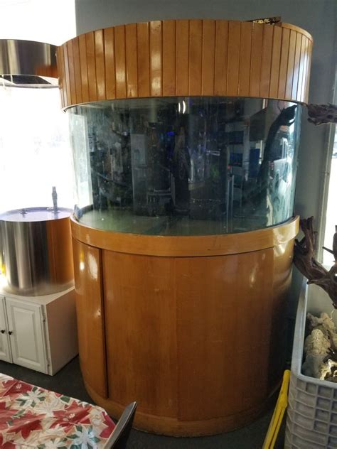 144 Gallon Half Circle Glass Aquarium Set For Sale In Simi Valley Ca