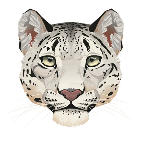 Snow Leopard Face By Eliket On Deviantart
