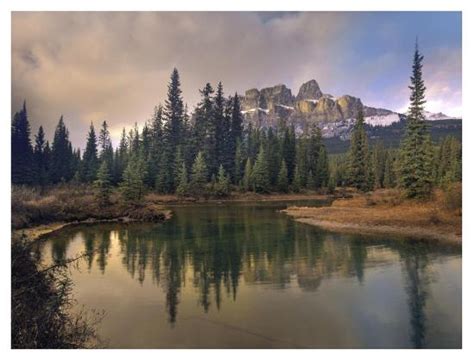Castle Mountain And Boreal Forest Reflected In Lake Alberta Canada