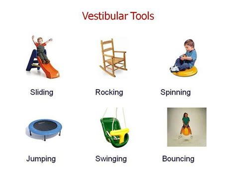 Vestibular Tools Linear Rocking Spinning Bouncing Swinging