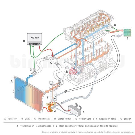 Why are BMW Cooling Systems so Apoplectically Complicated ...