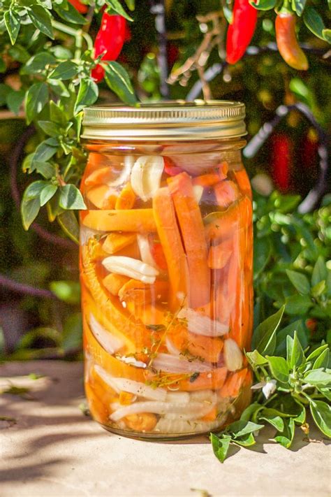 Mexican Pickled Carrots Easy Recipe Hilda S Kitchen Blog