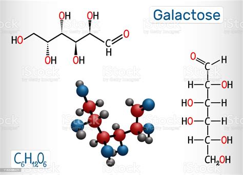 Galactose Dgalactose Milk Sugar Molecule Linear Form Structural