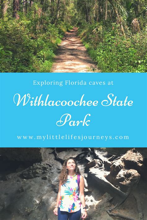 Withlacoochee State Forest Travel My Little Lifes Journeys State