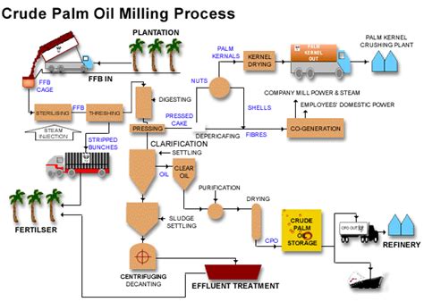 Check spelling or type a new query. Palm oil mill plant process？_Palm Oil Extraction FAQ