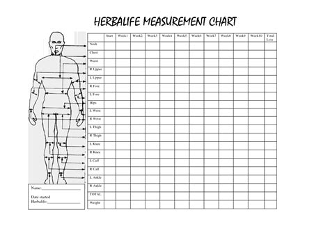 A Chart With The Height And Measurements For A Mans Body Which Is