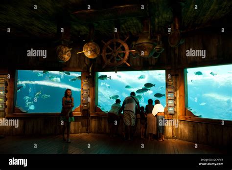 Aquarium At Ushaka Marine World Durban South Africa Stock Photo Alamy
