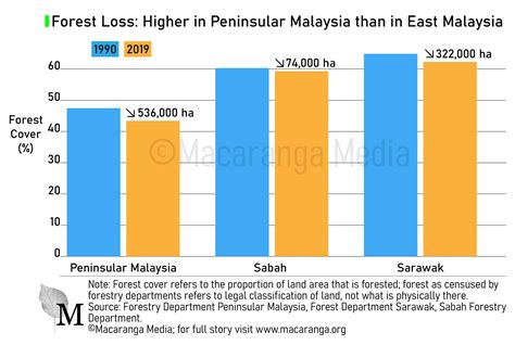 Deforestation In Malaysia Statistics Felicity Rees