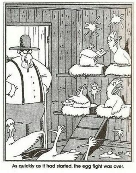 What Happens When No One Is Looking Hen House Humor Chickenhouses