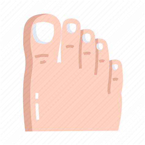 Feet Foot Toe Icon Download On Iconfinder On Iconfinder