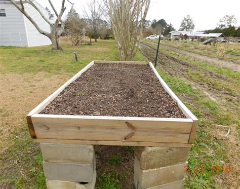 Raised beds in landscape design Readying Your Raised Beds for Northwest Florida's Best ...