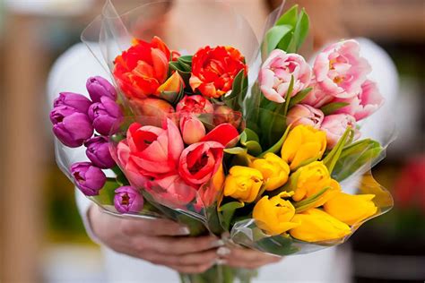 Las Más Bonitas Flores Para Regalar A Una Mujer En Su Cumpleaños