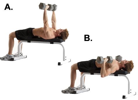 Are You Doing The Dumbbell Bench Press Exercise The Right Way