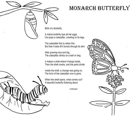 Monarch Butterfly Coloring Poem Home School Ideas