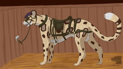 Rule 34 169 Andraquito Balls Blinders Bridle Clouded Leopard Collar