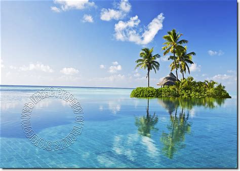 Paradise Island Peel And Stick Wall Mural Full Size Large