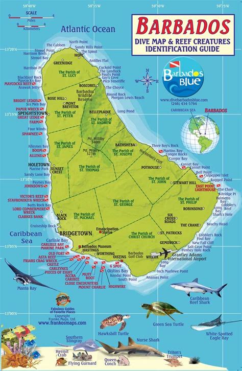 Dive Sites Dive Barbados Blue Water Sports Barbados Travel