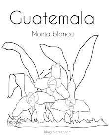 Dibujos De Monja Blanca Guatemala Para Colorear Simbolos Patrios The