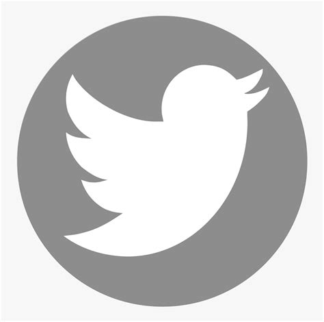 Logo Twitter Circle Grey Current Twitter Logo Png Transparent Png
