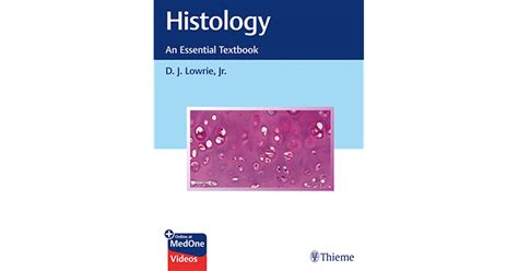 Histology An Essential Textbook By Dj Lowrie