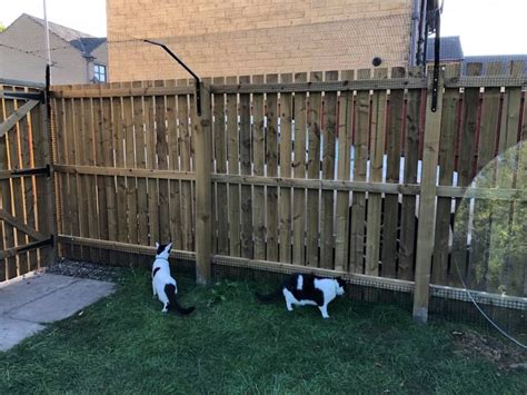 Standard Fence Top Barrier Cat Enclosure Cat Fence Cat Patio