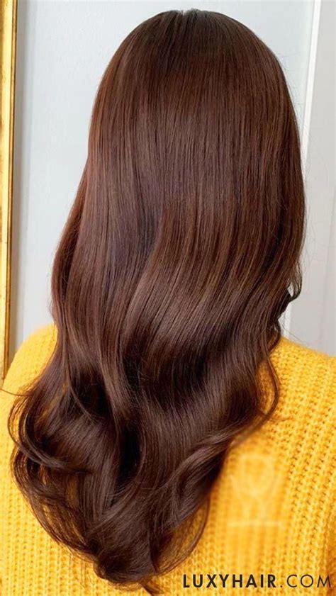 20 classic chocolate brown clip ins 20 220g in 2020 brunette hair color brown blonde