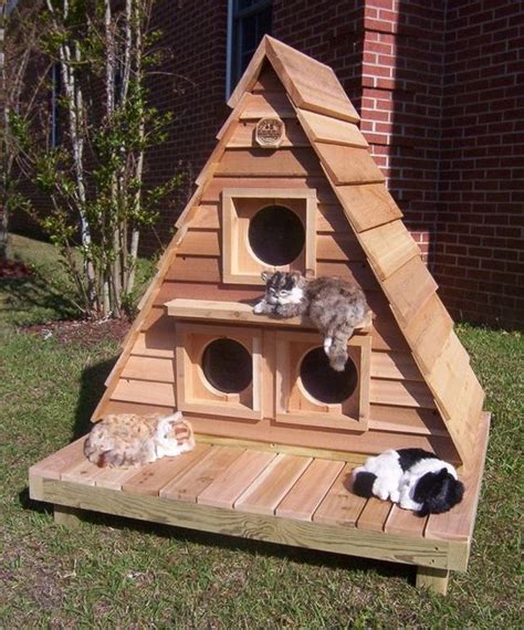 16000 Woodworking Projects Outdoor Cat House Outside Cat House Cat