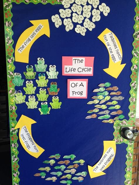 Check spelling or type a new query. Life cycle of a frog and ADORABLE frog book!! | Life ...